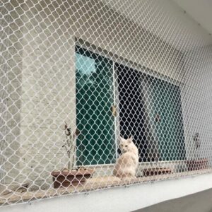 Tela de Proteção para Gatos