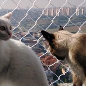 Rede de Proteção para Gatos